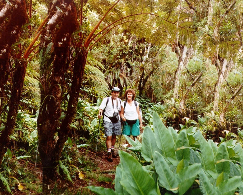 FORET DE BELOUVE la Réunion 1997