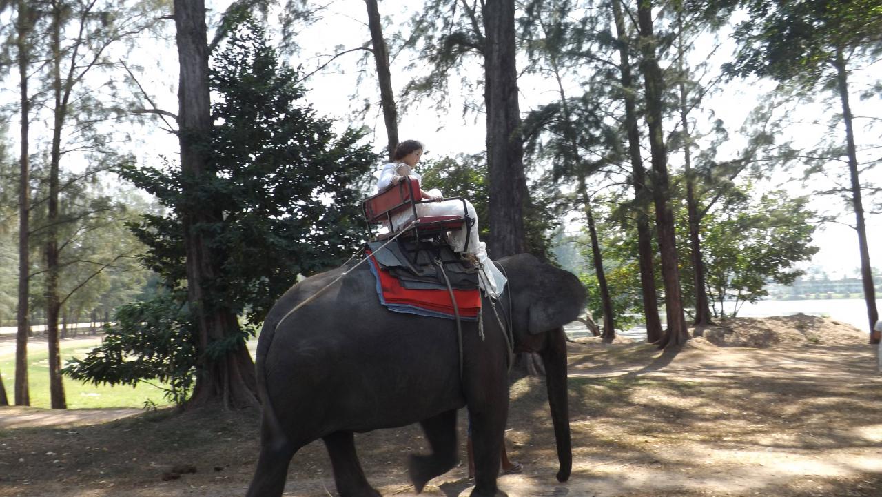 Attention aux Elephants (4)