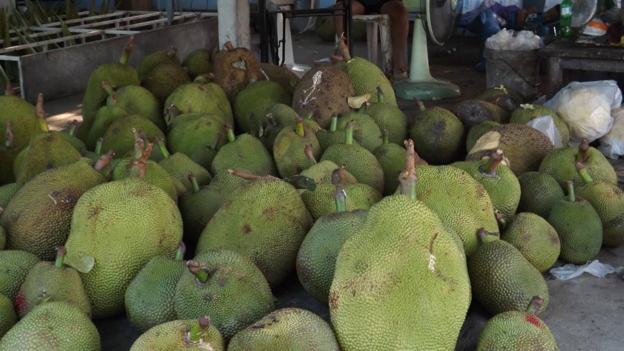 JackFruits (2)